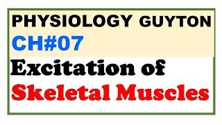 Chp#7 Guyton | Excitation of Skeletal Muscles | Excitation Contraction Coupling | Dr Asif Lectures