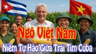 ️ Sự Trở Lại Vĩ Đại: Người Việt Gieo Hạt Giống Hy Vọng Trên Đất Cuba!