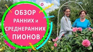 Обзор ранних и среднеранних пионов