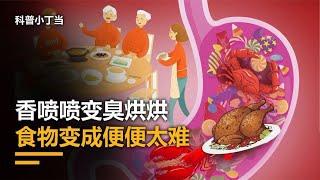 美食在肚子里是如何变成便便的？中间关卡太多，便便形成不易