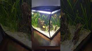 Fluval Flex 15