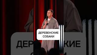 За сколько вы стрижете собаку?  @tntonlineru ￼ #стендап #камедиклаб #собака