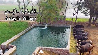 Beautiful Village in Pakistan | Best Lifestyle