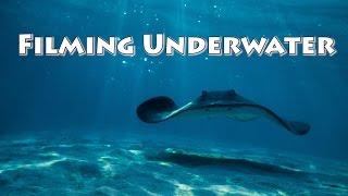 How to film Underwater with DSLR and Red cameras!