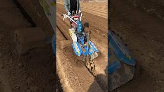Machine for sowing onion in the field#khedut #machine #pyaj #shorts #trend
