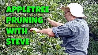 APPLETREE PRUNING  IN AUGUST GARDEN MAINTENANCE / STEPHEN CHEESE GARDEN SERVICES #gardening