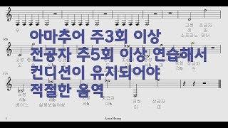 성악발성 레슨11 음역을 테스트해보세요!