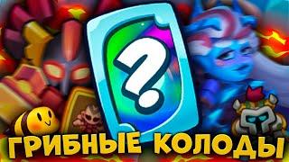 RUSH ROYALE | ЛУЧШИЕ КОЛОДЫ ПРОТИВНИКОВ | ГРИБНЫЕ ТАКТИКИ В ДЕЛЕ?!