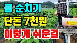 2400평 콩순치기 2시간이면 끝 / 콩순치기 일도 아니네 / 콩순치는 시기 / 논콩적심 /