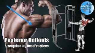 Posterior (Rear) Deltoids | Strengthening Best Practices