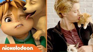 Awesomely "Awwdorable" Pet Moments w/ Jace Norman, SpongeBob, NRDD & More   | Nick