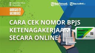 Mudah, Begini Cara Mengecek Nomor BPJS Ketenagakerjaan secara Online, Cukup Siapkan KTP