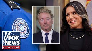 WATCH: Rand Paul on ‘alarming’ program that surveilled Tulsi Gabbard
