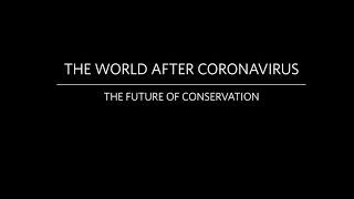 The World After Coronavirus: The Future of Conservation | Jon Hutton