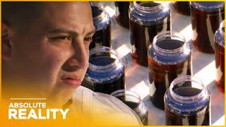 From Sugar to Sickness: Syrup Addiction Exposed | Absolute Reality