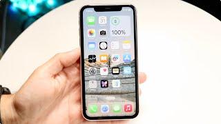 iPhone 11 In LATE 2024! (Still Worth Buying?)