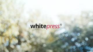 WhitePress® presents: What SEOs Want