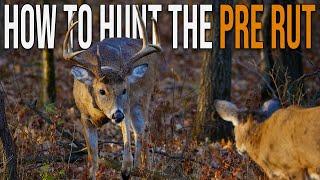 Four Pre Rut Hunting Tips