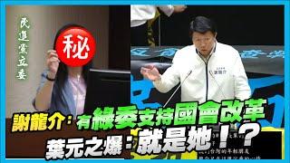 謝龍介：有綠委支持國會改革。葉元之爆：就是她！？