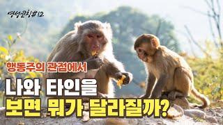 행동주의 관점에서 나와 타인을 보면 뭐가 달라질까? (행동주의 심리학, 반두라, 파블로프, 스키너, 모델링)ㅣ 영성코칭#12