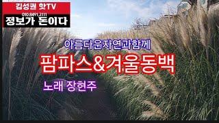 팜파스&겨울동백아름다운자연과함께누가날더러다시태어난다면가수장현주작사작곡/편곡김한솔