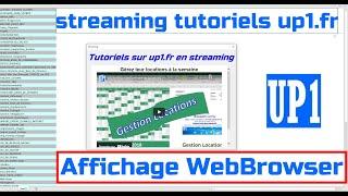 Excel-VBA: Affichage dans le WebBrowser