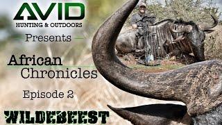 African Chronicles AVID Hunting & Outdoors Episode 2 Trailer Wildebeest