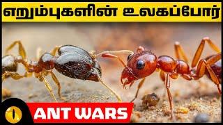 எறும்புகளின் உலகப்போர் - இவை செல்லும் இடமெல்லாம் மரணம் நிச்சயம் |  Ant Wars | Animaltube Tamil