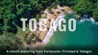 Discovering Tobago - A month in Paradise (4K)