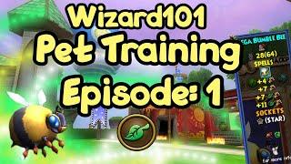 Wizard101 Pet Training Episode: 1