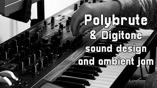 Polybrute and Digitone // Sound design and ambient jam