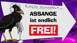 Endlich: Julian Assange ist FREI! #assangecase