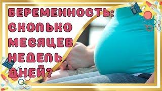 Сколько Дней, Недель и Месяцев длится БЕРЕМЕННОСТЬ?