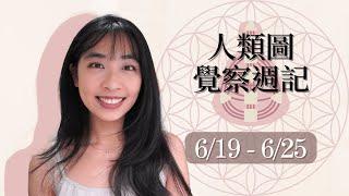 人類圖覺察週記｜6/19-6/25｜Yoko Tarot