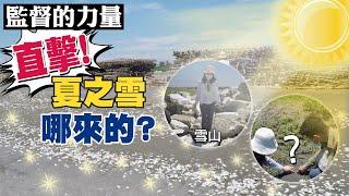 【#監督的力量】直擊！"七月雪"驚從這來？“微粒”進食物鏈 @中天新聞CtiNews