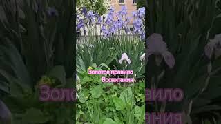 #успех #саморазвитие #мудрость #цитатыосмысле #цитатыпрожизнь