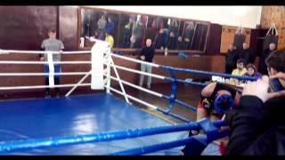 Курская Федерация тайского бокса, лучшее 2013 2014 гг.