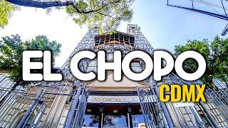 10 cosas que no sabías de EL CHOPO / A Patín por México