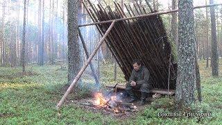 Укрытие от дождя в сосновом лесу из природных материалов.