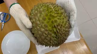 Open a Durian: Step-by-Step Guide with Pro Tips #tutorial #songlele