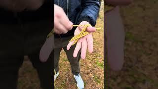 An easy WAY to assemble a ROPE. #camping #survival #bushcraft #outdoors