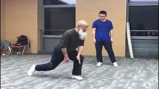 Xinyi Liuhe Basic Stepping by Master Yang Hai Ming