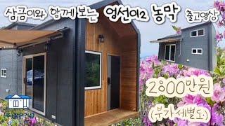 삼금이PICK! 포치가 실용적인 2800만원 복층 엄선이2 농막 | 이동식주택 | 소형주택 | 이동식농막 | 삼은건설 | 삼은하우징