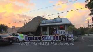 TV 88 television Program Director has lunch at Brutus Seafood in Marathon, Florida