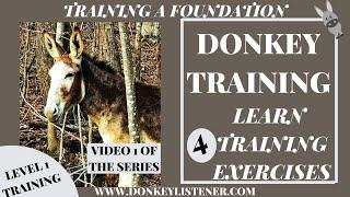 Donkey Training Videos {Learn 4 Exercises I always use} Level 1 Training a Donkey Foundation Video 1