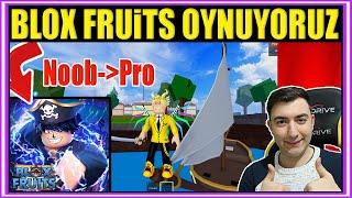 Blox Fruits Nasıl Oynanır - Türkçe Oynanış (Part 1) / Roblox