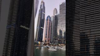 Dubai Marina Sunset Cruise  #dubai #travel #dubaimarina #sunset #cruise