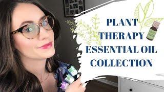 PLANT THERAPY COLLECTION | MY FAVOURITE ESSENTIAL OILS