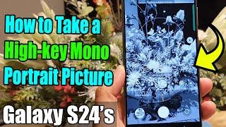 Galaxy S24/S24+/Ultra: How to Take a High-key Mono Portrait Picture