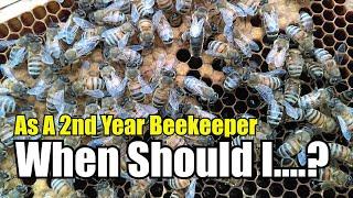 As A 2nd Year Beekeeper When Should I.....?